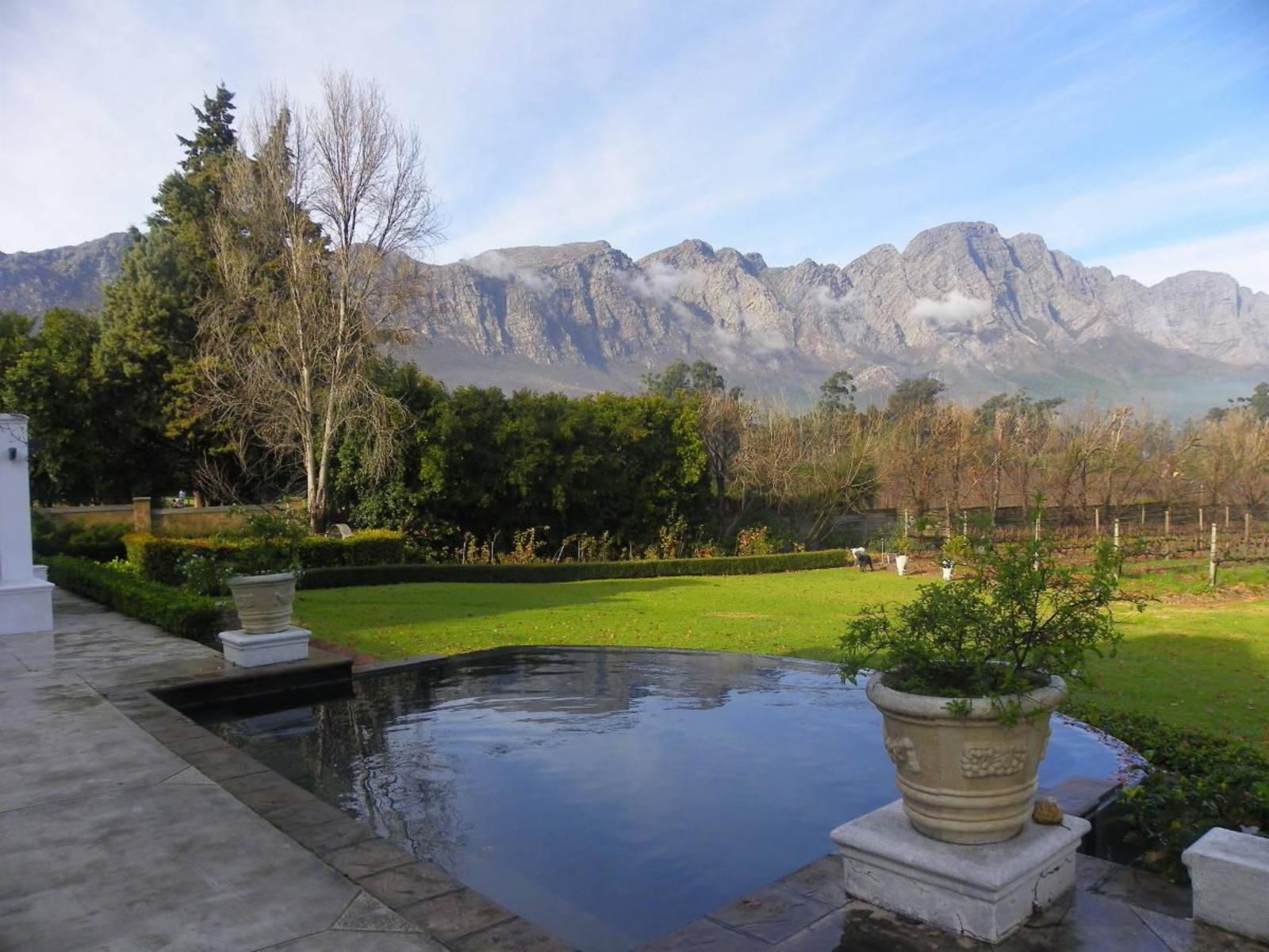 Rose Cottage Franschhoek Western Cape South Africa Garden, Nature, Plant