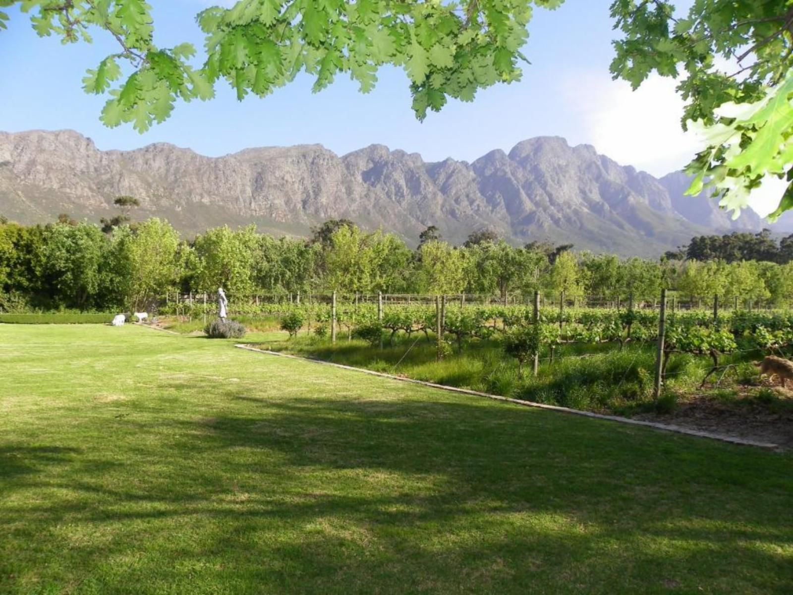 Rose Cottage Franschhoek Western Cape South Africa Nature