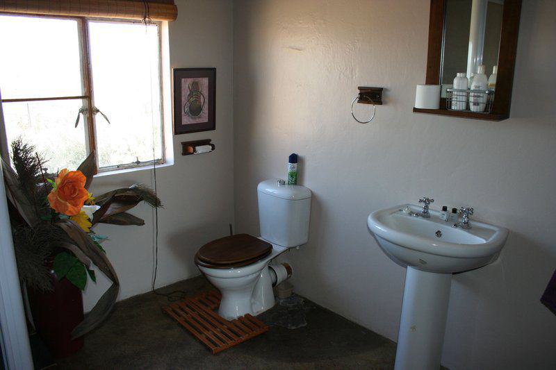 Bathroom, Rosedale Guest Cottage, Britstown, Britstown
