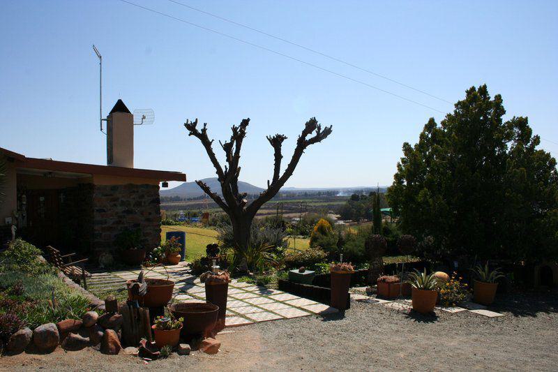 Cactus, Plant, Nature, Garden, Rosedale Guest Cottage, Britstown, Britstown