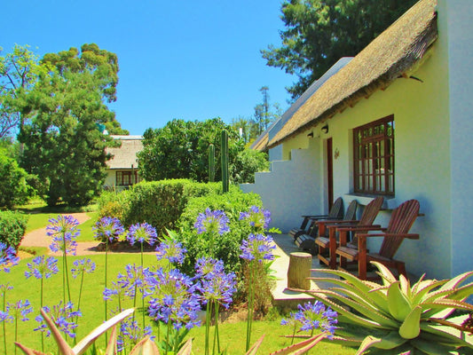 Rosedale Farm Bed And Breakfast Addo Village Eastern Cape South Africa Complementary Colors, House, Building, Architecture, Plant, Nature