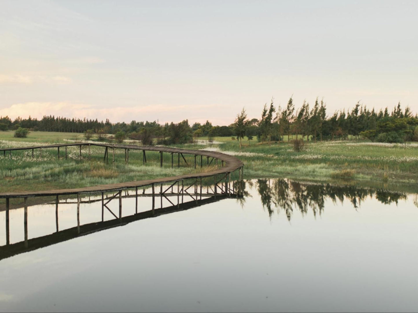 Rosemary Hill, River, Nature, Waters