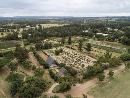 Rosemary Hill, Aerial Photography