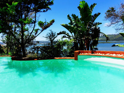Roseroc Boutique Guesthouse Paradise Knysna Western Cape South Africa Colorful, Beach, Nature, Sand, Palm Tree, Plant, Wood, Swimming Pool