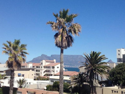 Rosie S Bloubergstrand Blouberg Western Cape South Africa Palm Tree, Plant, Nature, Wood