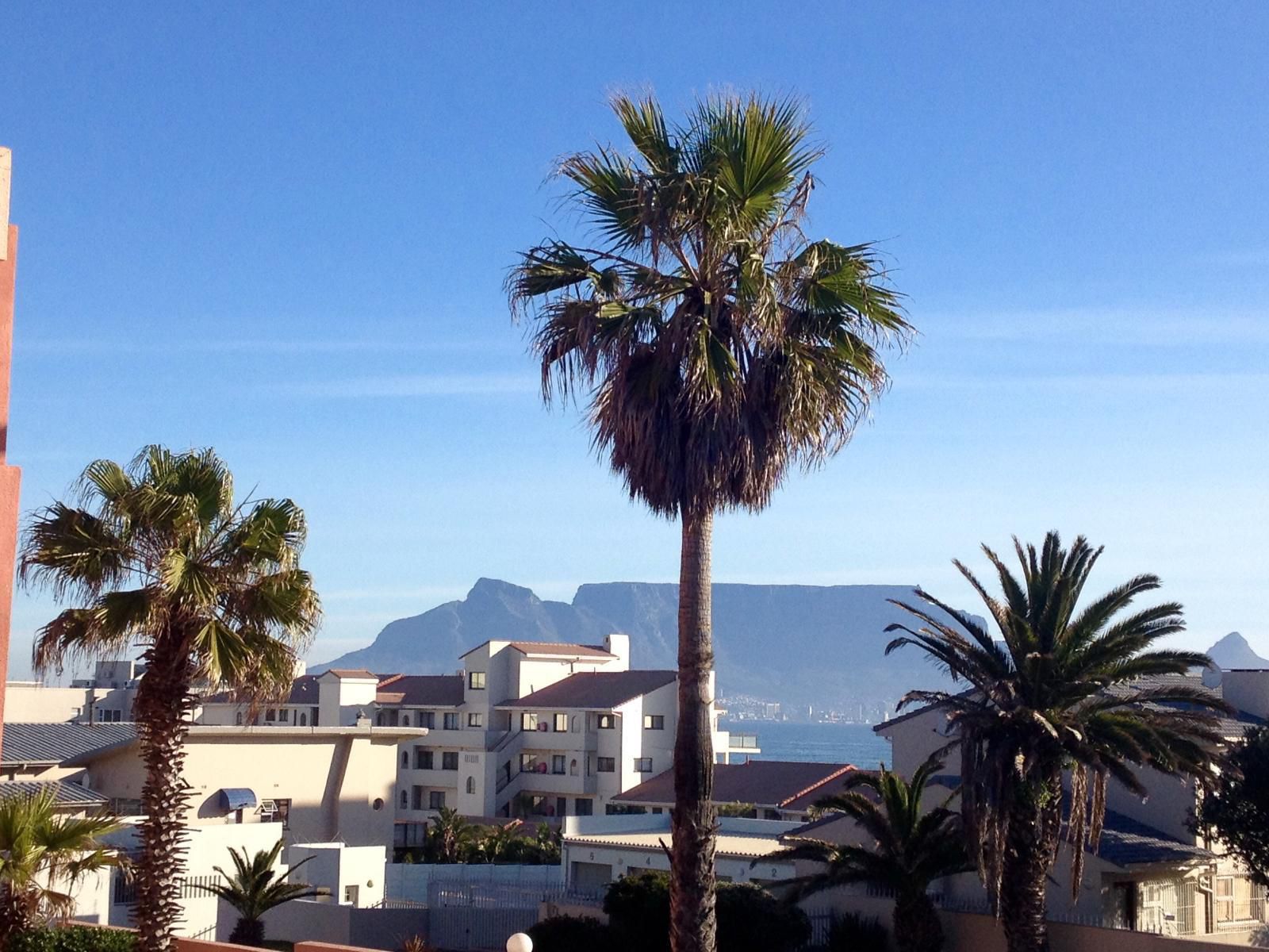 Rosie S Bloubergstrand Blouberg Western Cape South Africa Palm Tree, Plant, Nature, Wood