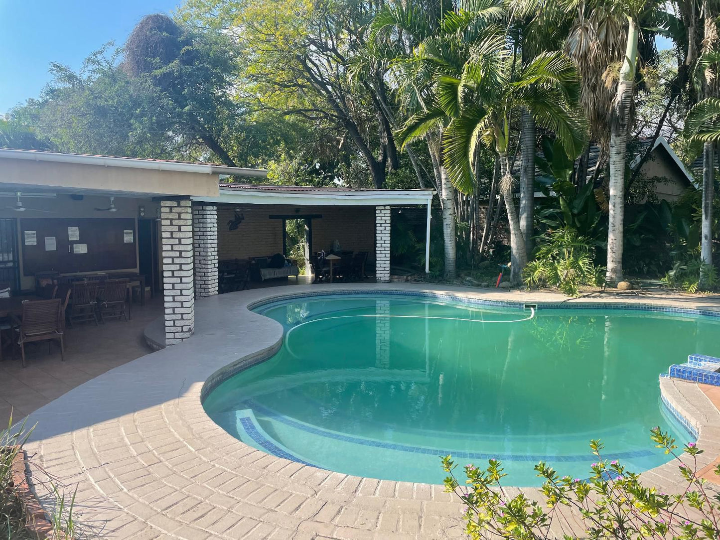 Rosscos Lodges Phalaborwa Limpopo Province South Africa Beach, Nature, Sand, Palm Tree, Plant, Wood, Swimming Pool