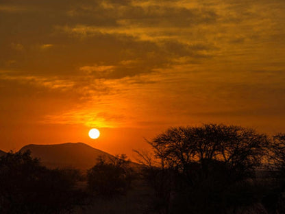 Rosscos Lodges Phalaborwa Limpopo Province South Africa Colorful, Sky, Nature, Sunset