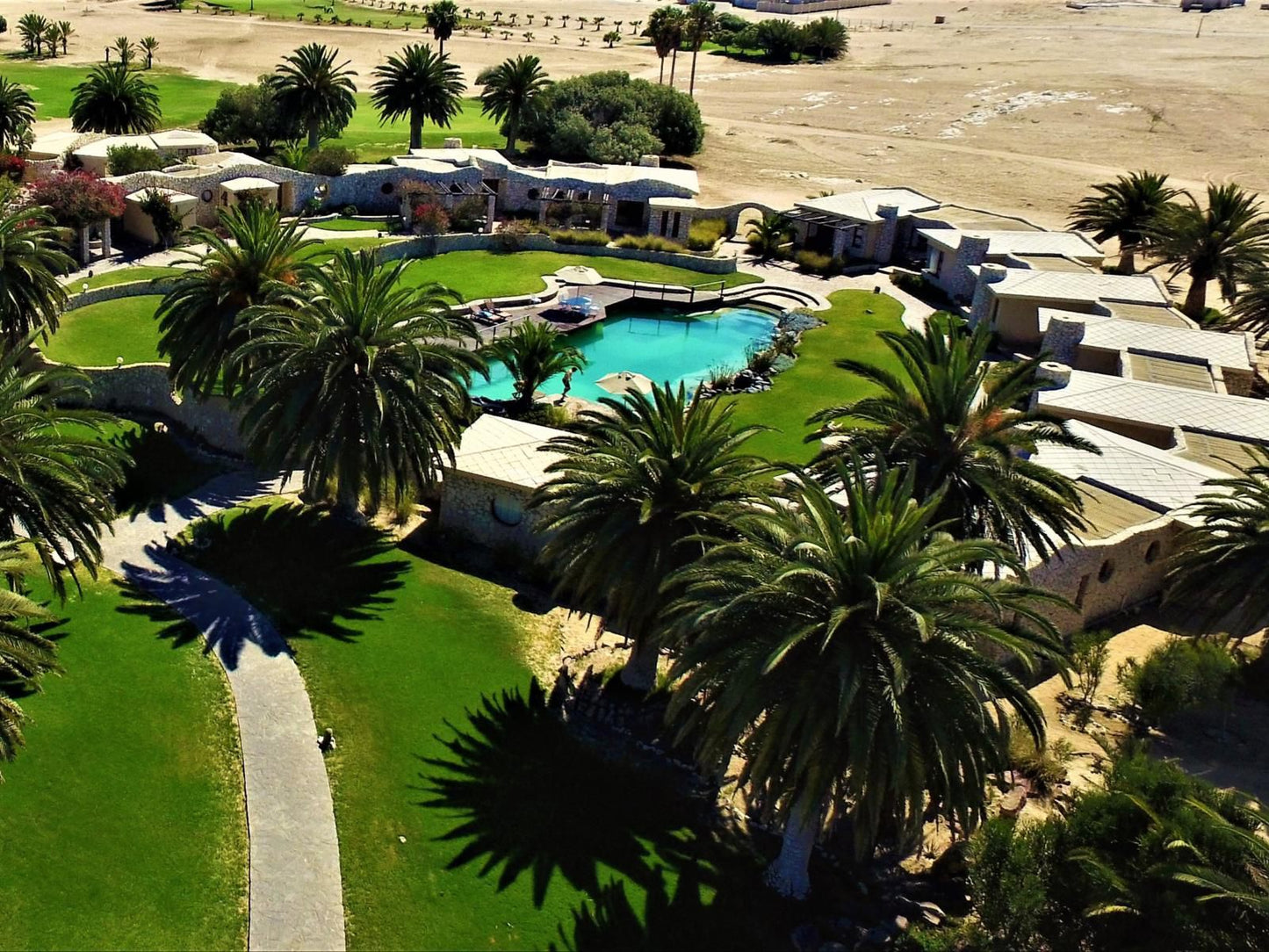 Rossmund Lodge, Palm Tree, Plant, Nature, Wood, Swimming Pool