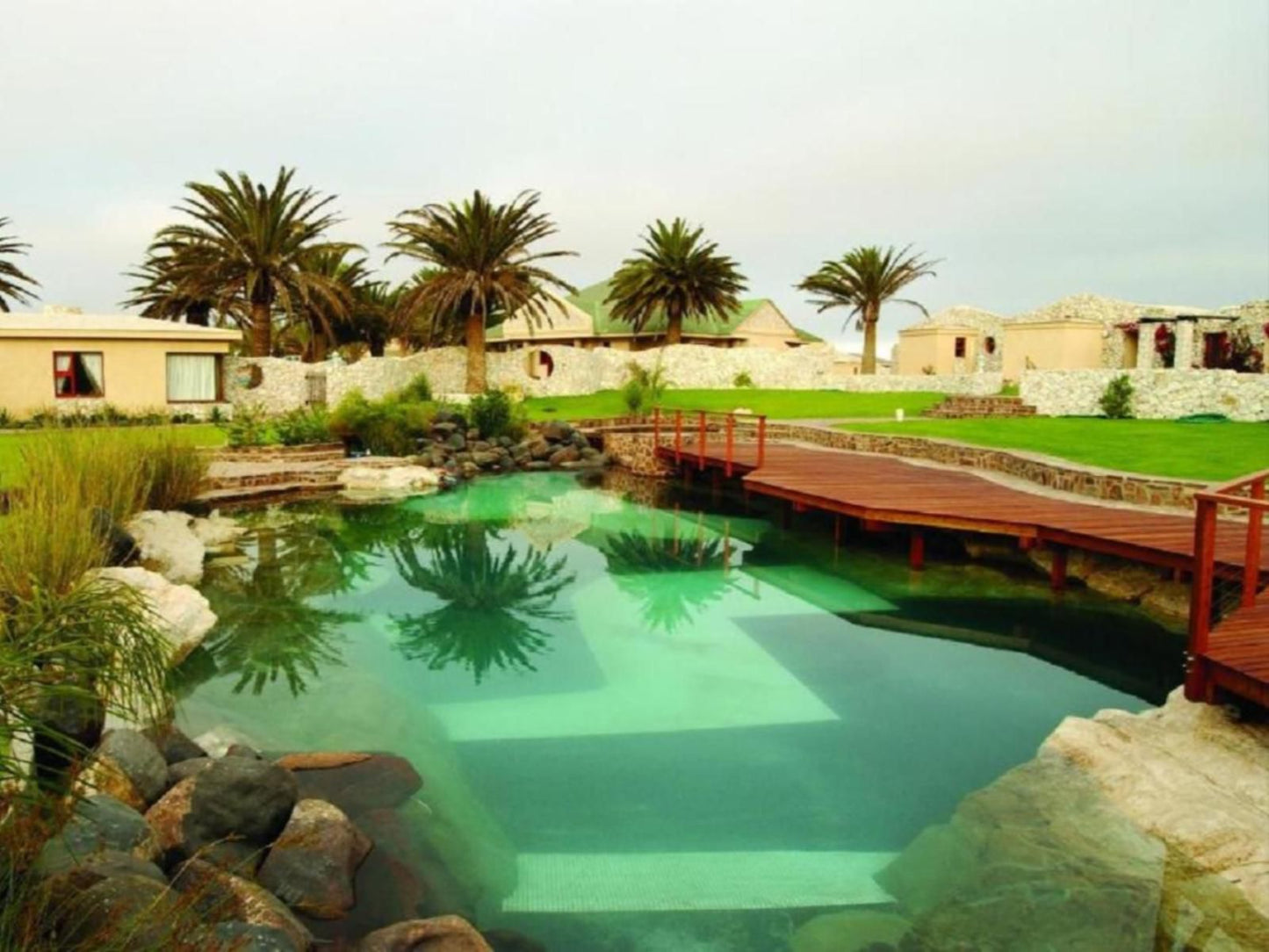 Rossmund Lodge, Palm Tree, Plant, Nature, Wood, Garden, Swimming Pool