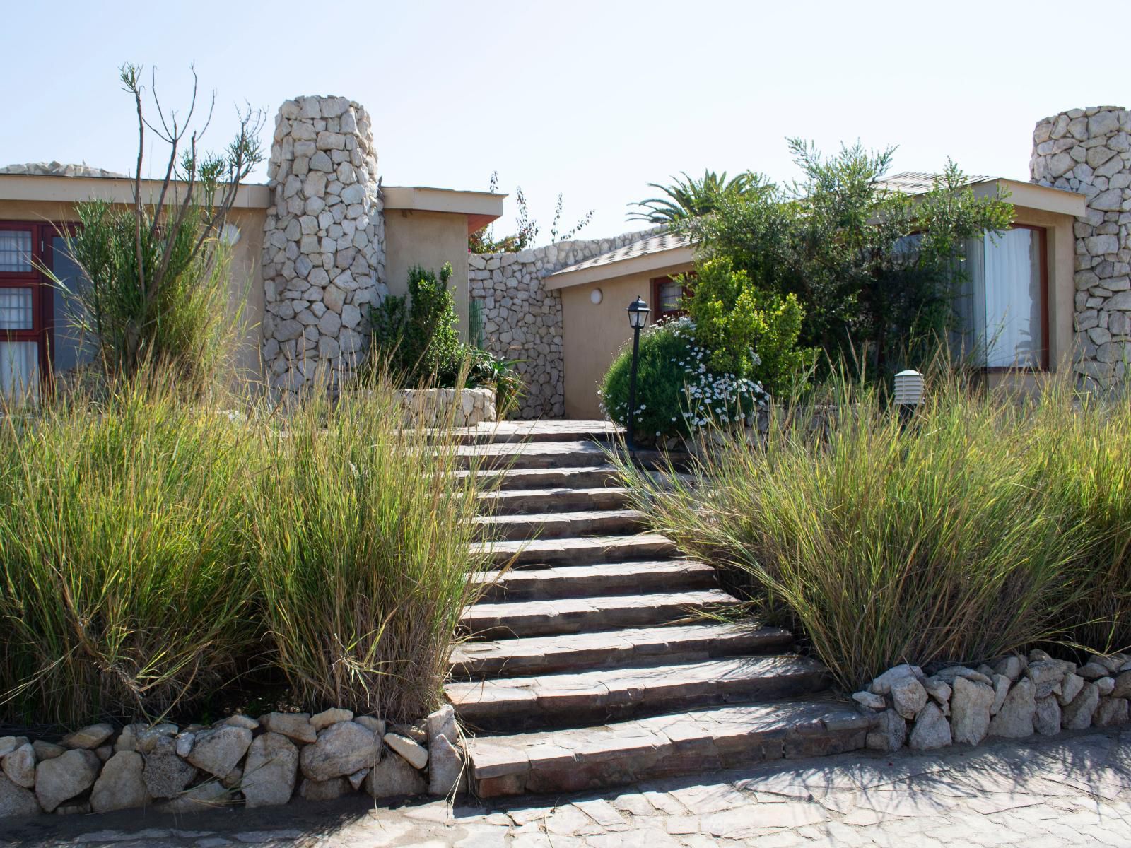 Rossmund Lodge, Plant, Nature, Garden