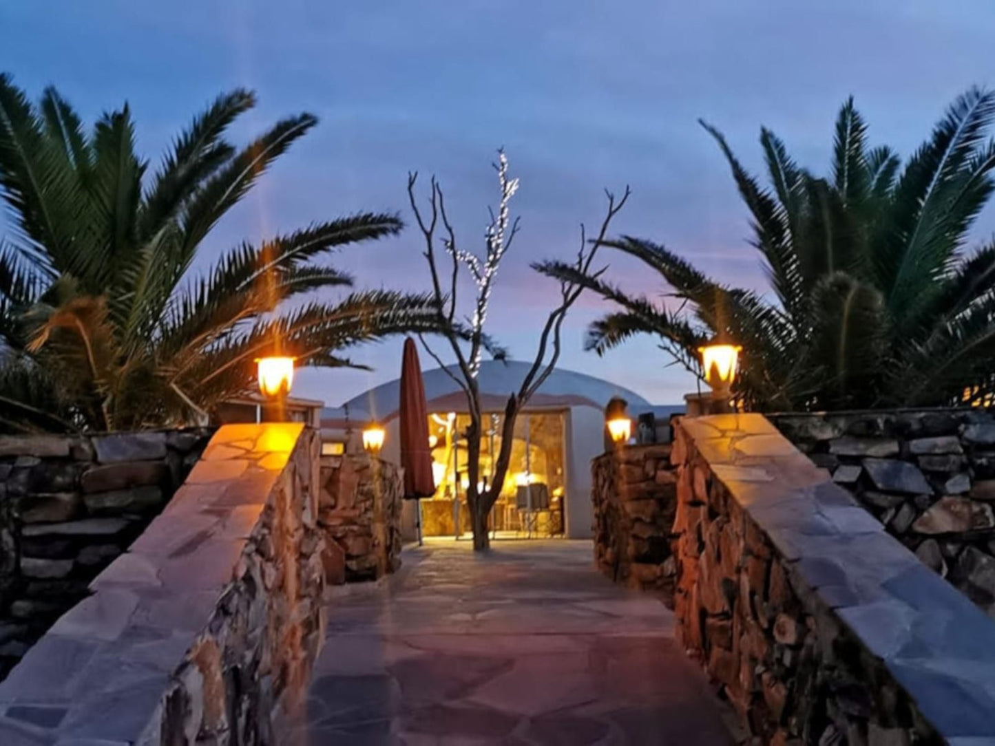 Rostock Ritz Desert Lodge, Palm Tree, Plant, Nature, Wood