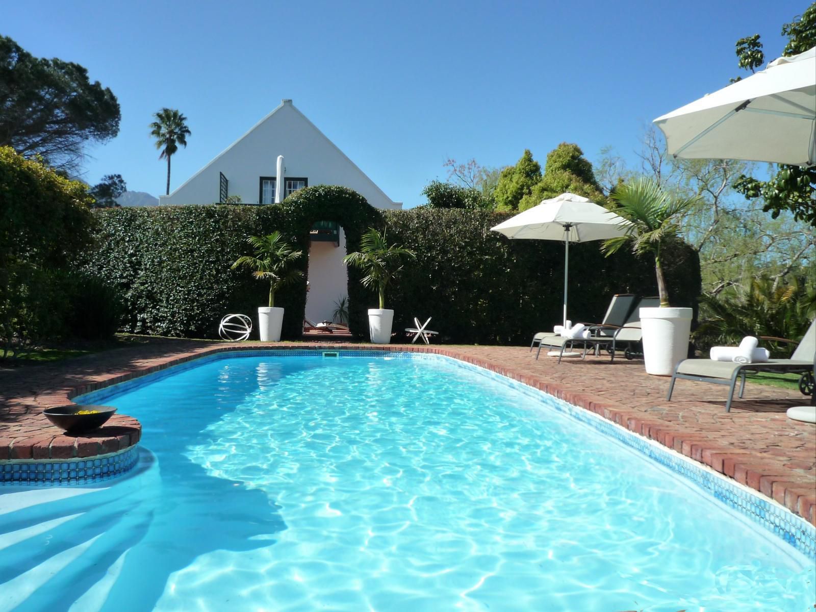 Rothman Manor De Luxe Guest Retreat Swellendam Western Cape South Africa Palm Tree, Plant, Nature, Wood, Swimming Pool