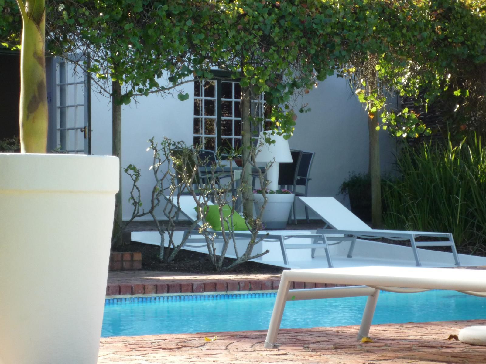 Rothman Manor De Luxe Guest Retreat Swellendam Western Cape South Africa Swimming Pool