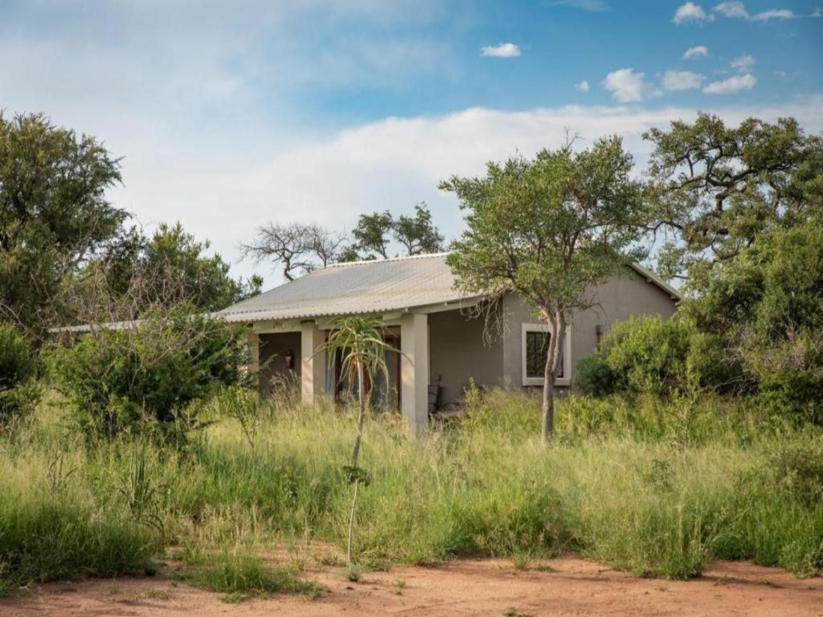 Route 40 Hoedspruit Limpopo Province South Africa Lowland, Nature