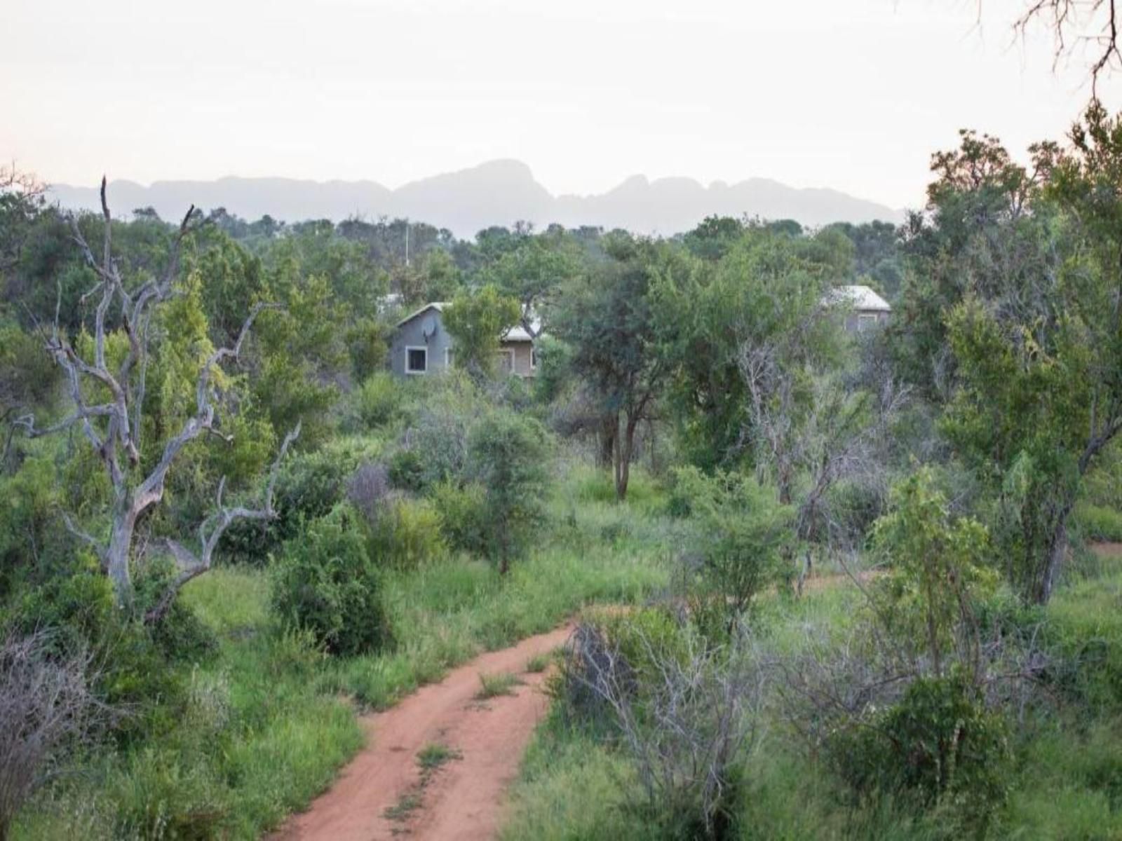 Route 40 Hoedspruit Limpopo Province South Africa 