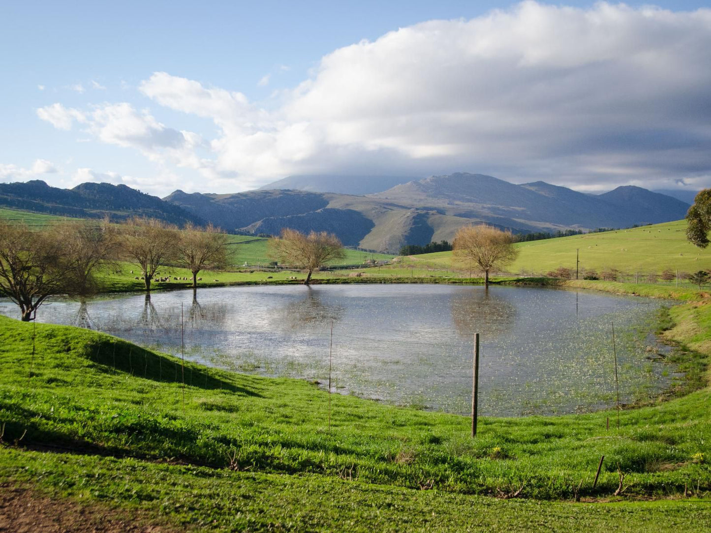 Rouxwil Country House Caledon Western Cape South Africa Complementary Colors, River, Nature, Waters, Highland