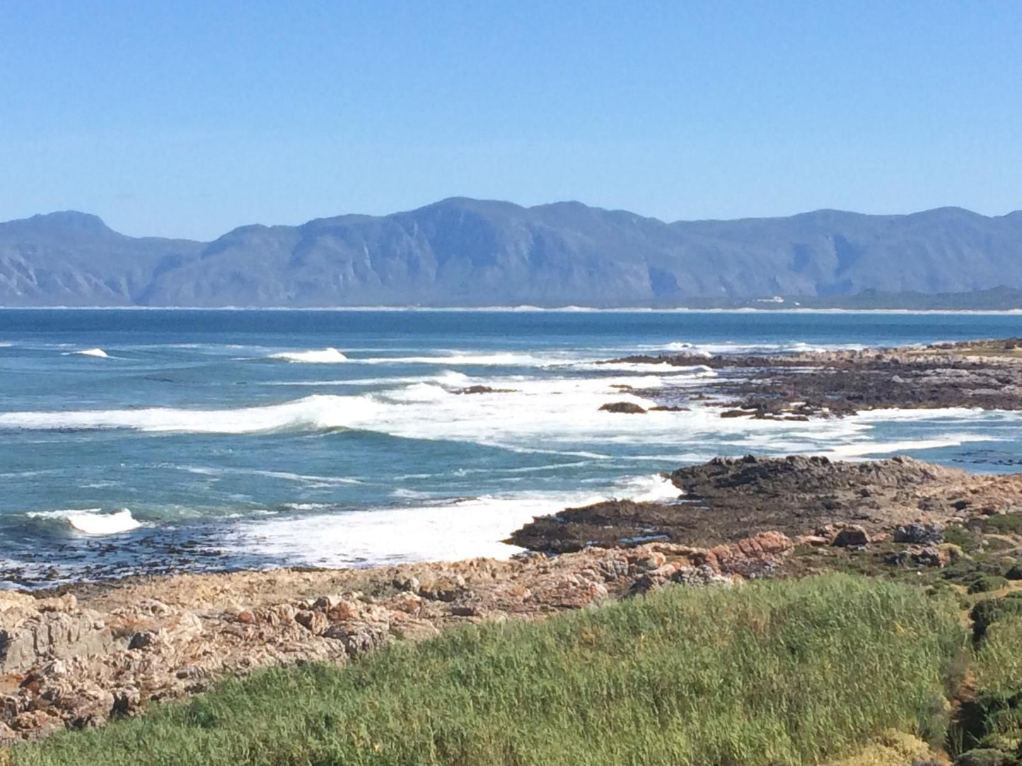 Royal Albatros Gansbaai Western Cape South Africa Complementary Colors, Beach, Nature, Sand, Ocean, Waters