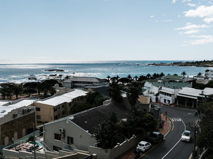 Royal Boutique Hotel Camps Bay Cape Town Western Cape South Africa Beach, Nature, Sand, Palm Tree, Plant, Wood