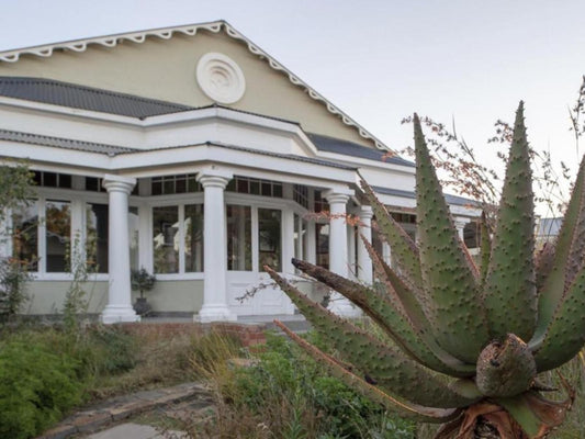 Royal Fischer Hotel Rayton Bloemfontein Free State South Africa Cactus, Plant, Nature, House, Building, Architecture