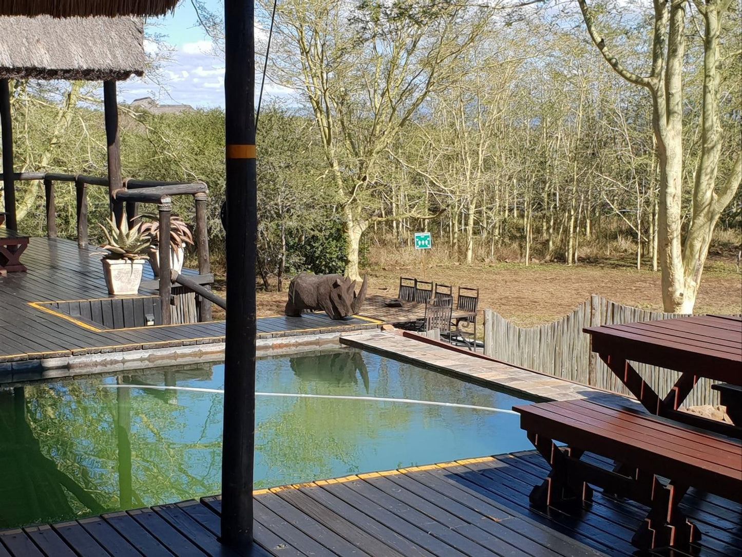 Royal Jozini Private Game Reserve, Kujabula Family Room, Swimming Pool