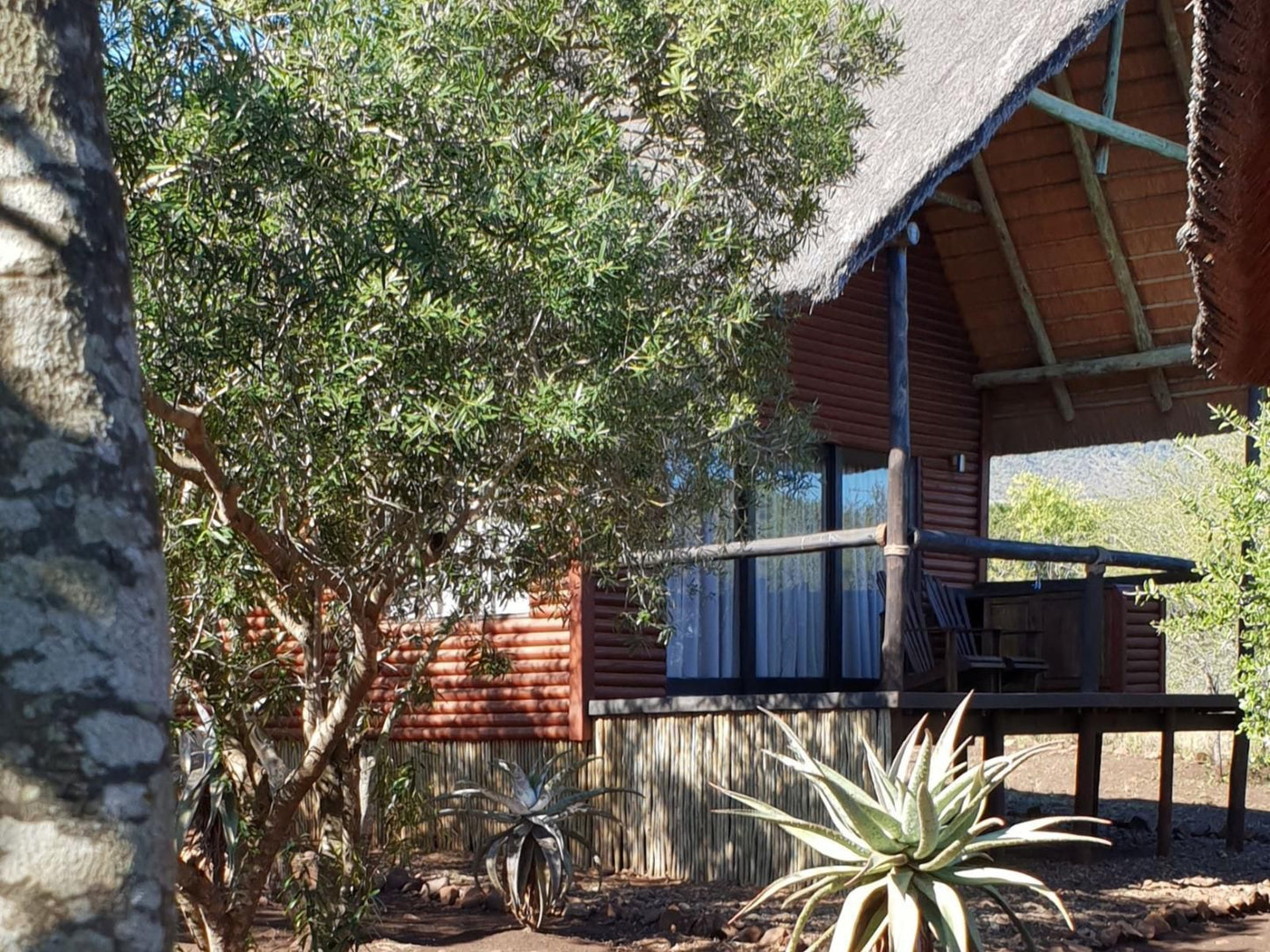 Royal Jozini Private Game Reserve, Kujabula Lodge Room 1, Cabin, Building, Architecture, Plant, Nature