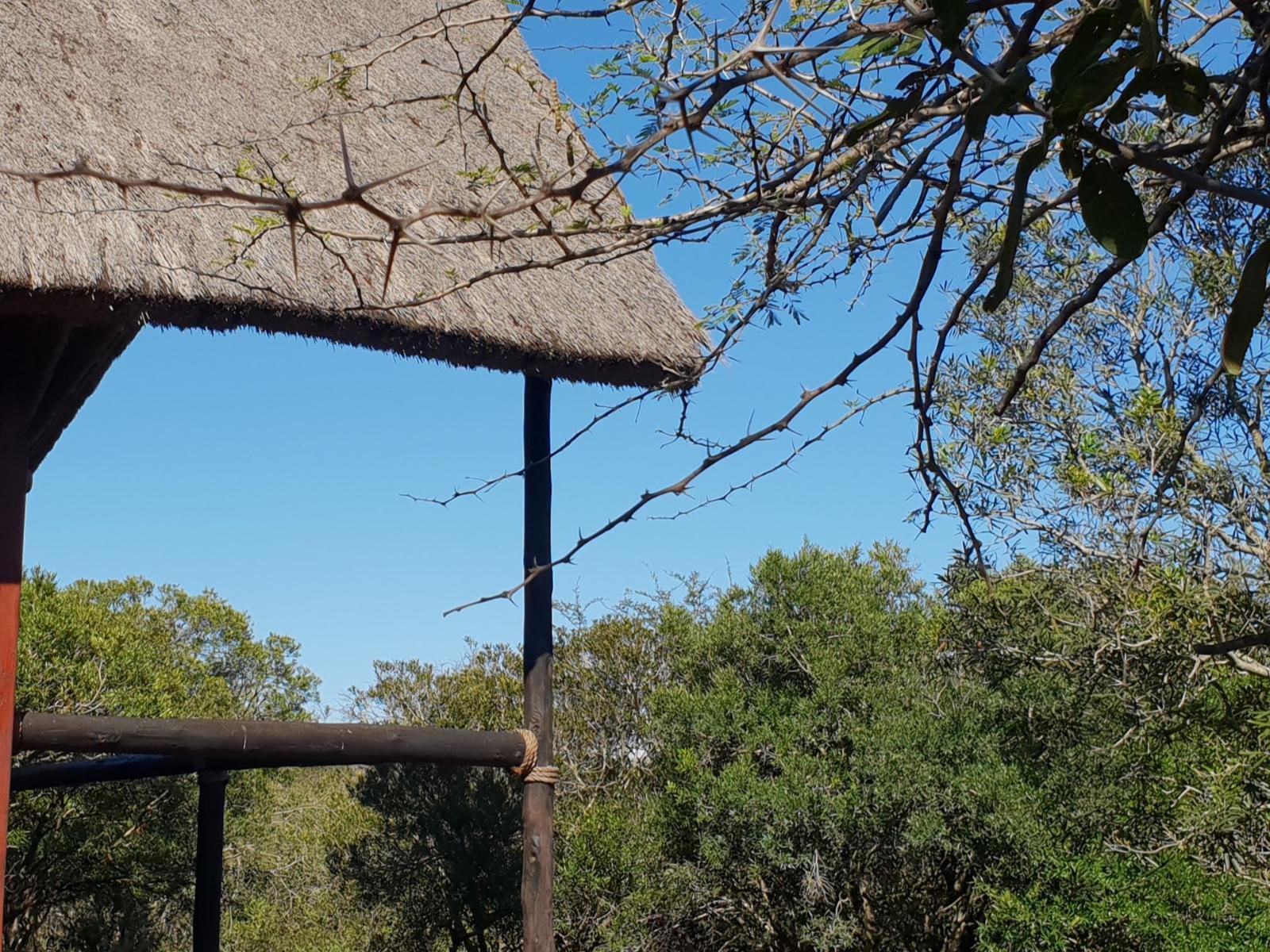 Royal Jozini Private Game Reserve, Siqalo's Warthog - family rm for 4