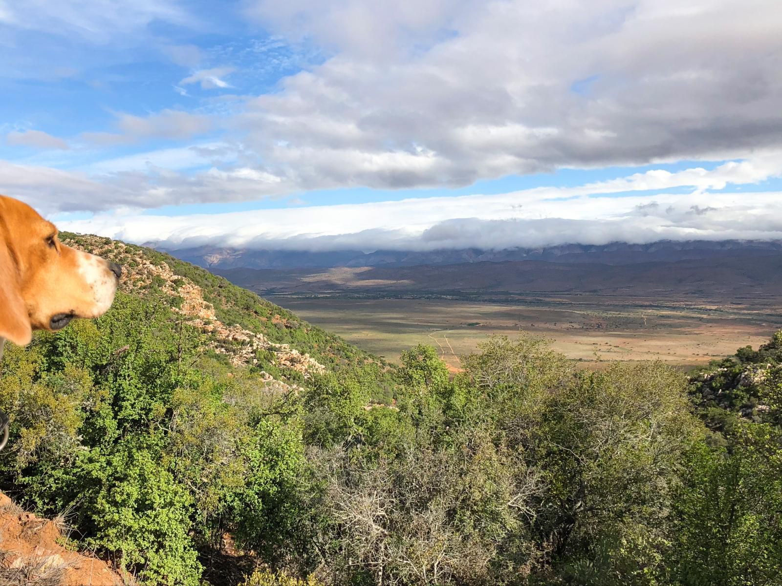 Royal Karoo Safari Lodge Steytlerville Eastern Cape South Africa Complementary Colors, Nature