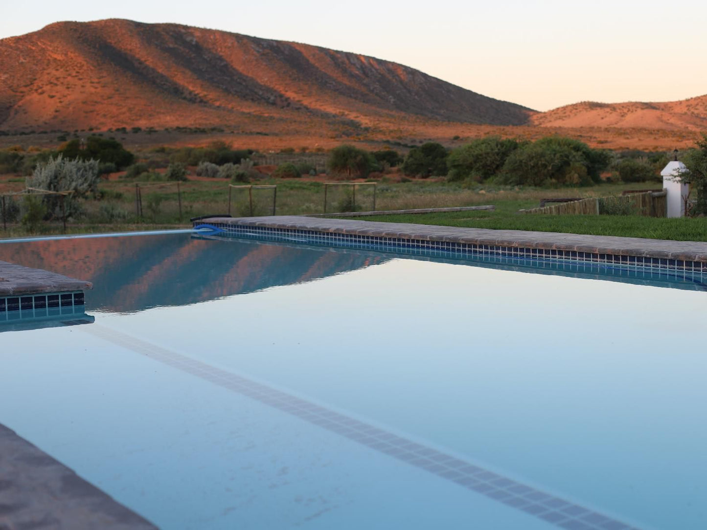 Royal Karoo Safari Lodge Steytlerville Eastern Cape South Africa Swimming Pool