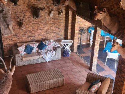 Royal Villa Guesthouse Brakpan Johannesburg Gauteng South Africa Animal