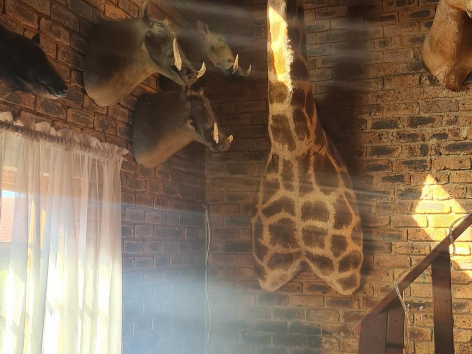Royal Villa Guesthouse Brakpan Johannesburg Gauteng South Africa Giraffe, Mammal, Animal, Herbivore