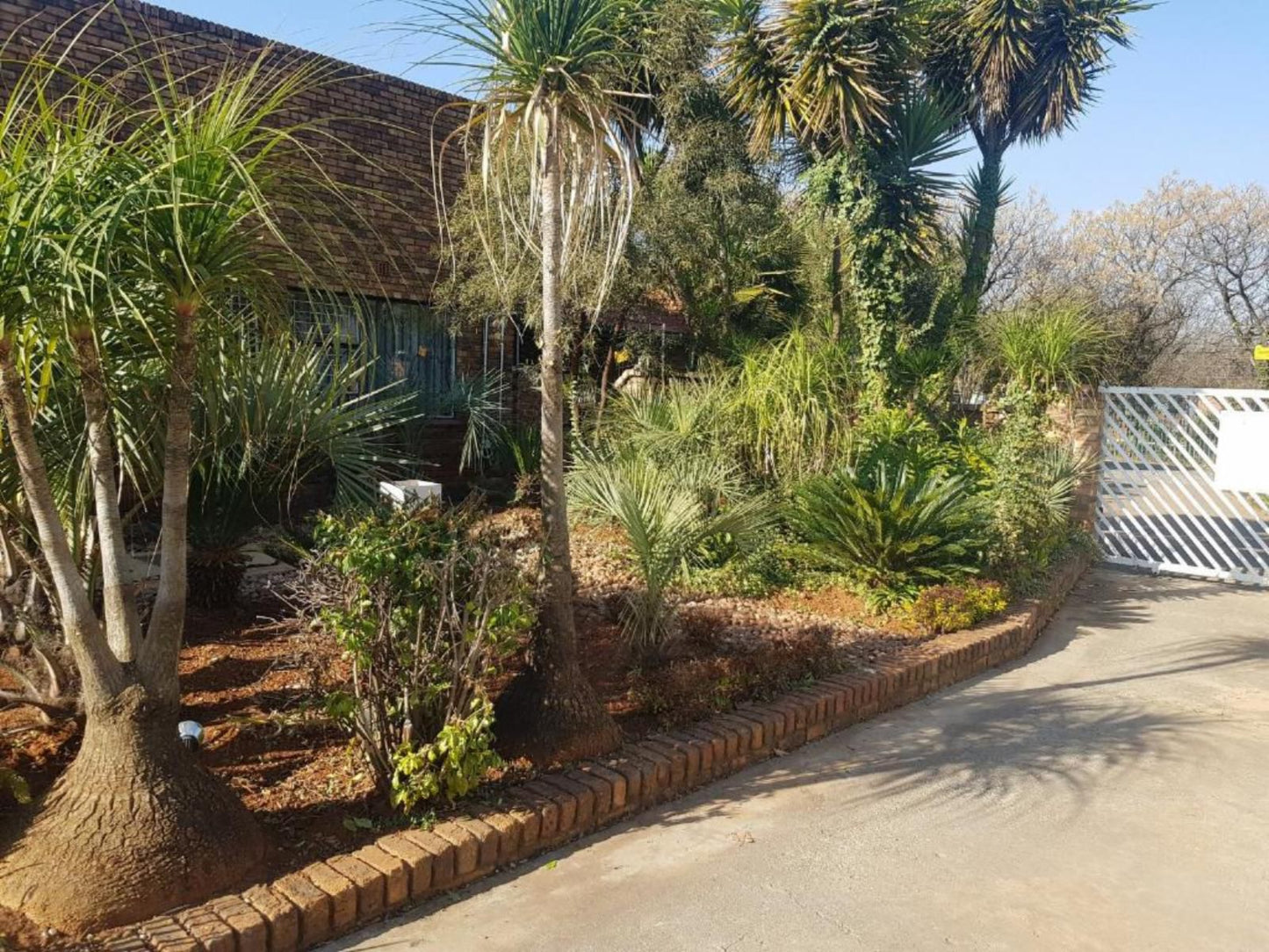 Royal Villa Guesthouse Brakpan Johannesburg Gauteng South Africa Palm Tree, Plant, Nature, Wood, Garden