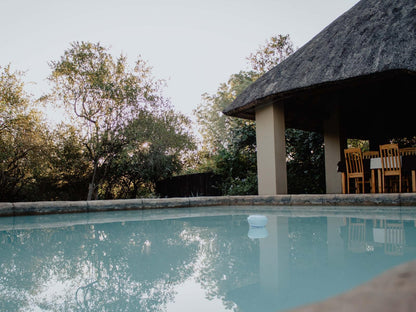 Royal Kruger Lodge Marloth Park Mpumalanga South Africa Swimming Pool