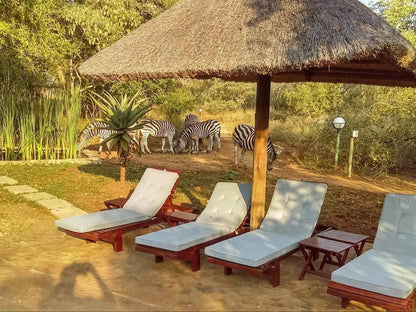 Royal Kruger Lodge Marloth Park Mpumalanga South Africa 
