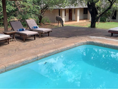 Royal Kruger Lodge Marloth Park Mpumalanga South Africa Complementary Colors, Swimming Pool