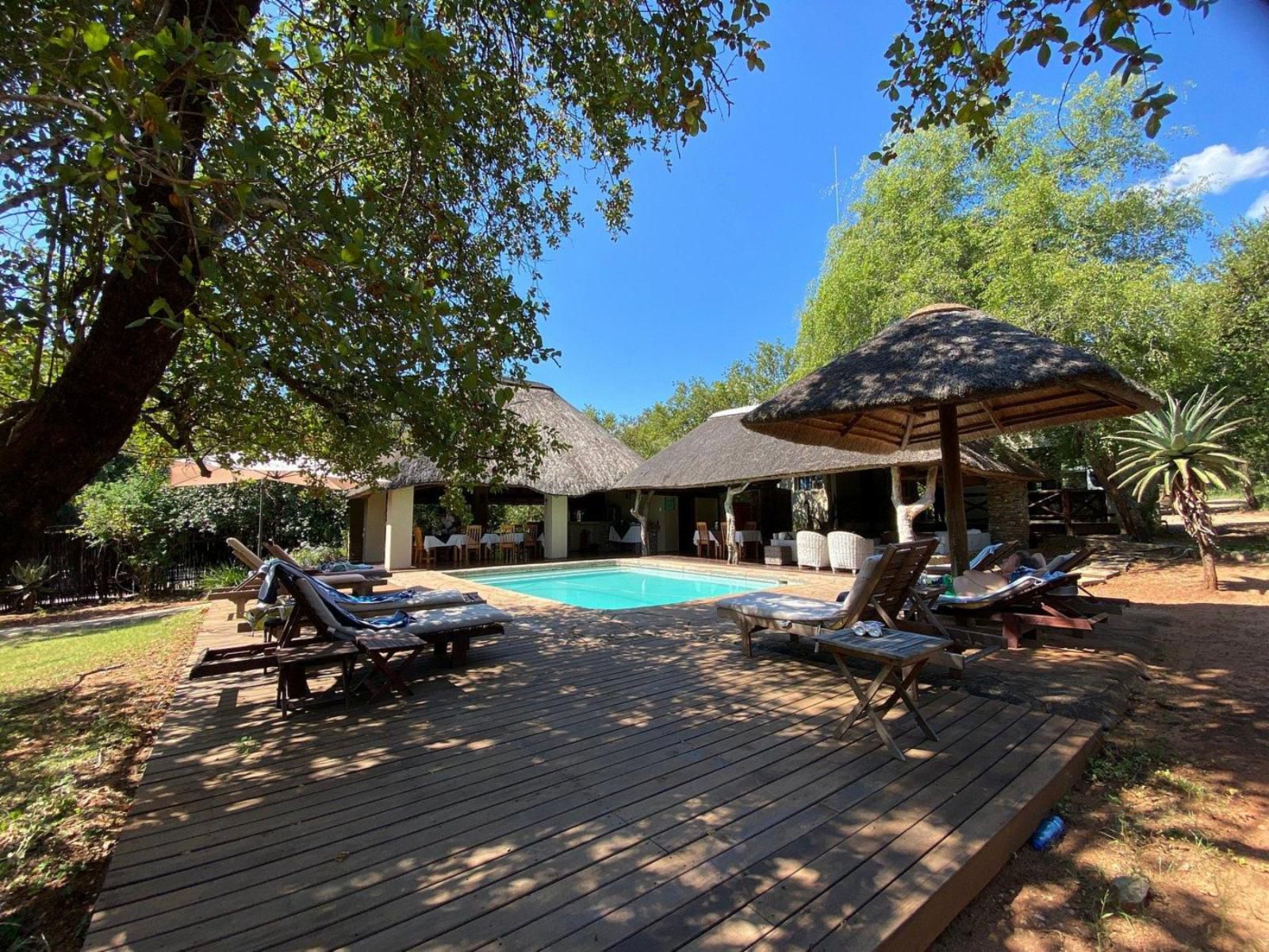 Royal Kruger Lodge Marloth Park Mpumalanga South Africa Swimming Pool