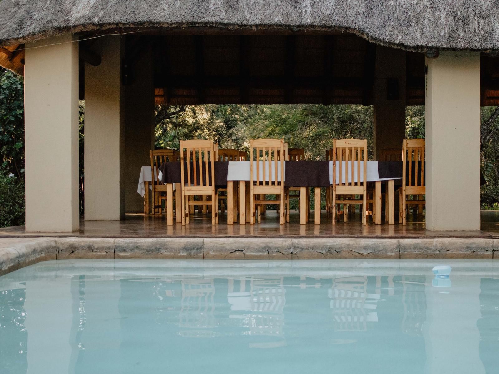 Royal Kruger Lodge Marloth Park Mpumalanga South Africa Swimming Pool