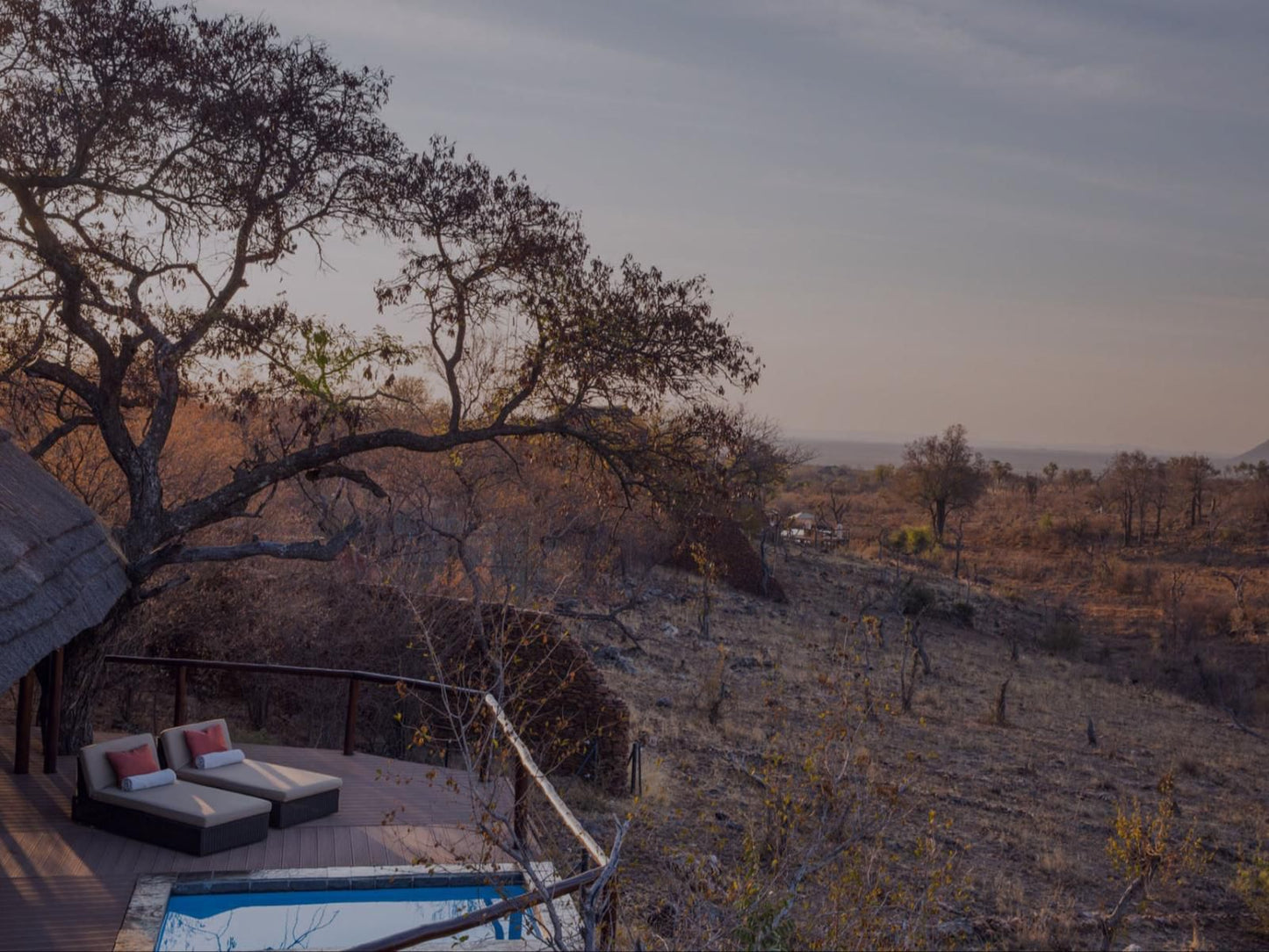 Royal Madikwe Madikwe Game Reserve North West Province South Africa Unsaturated, Nature