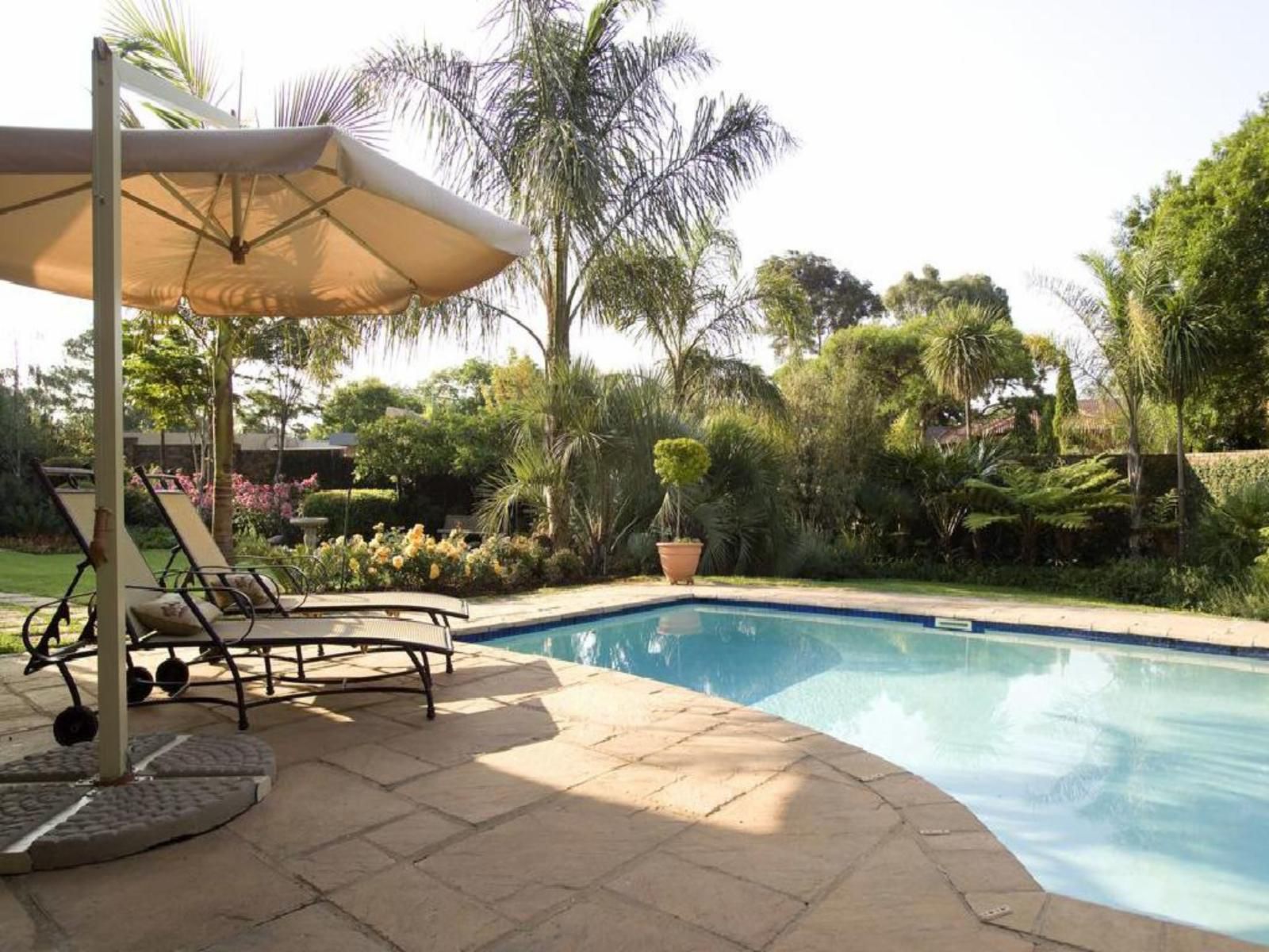 Royal Ridge Guest House Waterkloof Ridge Pretoria Tshwane Gauteng South Africa Palm Tree, Plant, Nature, Wood, Garden, Swimming Pool