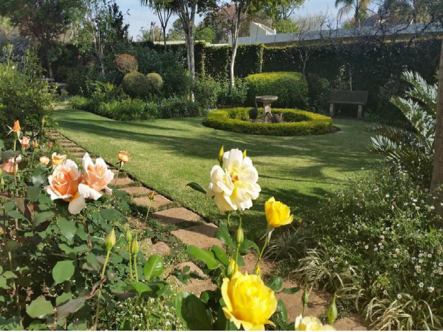 Royal Ridge Guest House Waterkloof Ridge Pretoria Tshwane Gauteng South Africa Flower, Plant, Nature, Garden