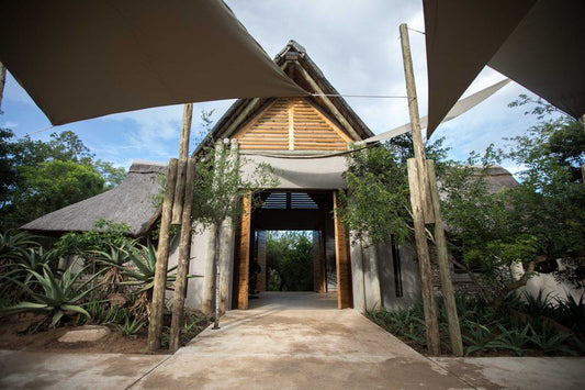 Royal Thonga Safari Lodge By Dream Resorts Tembe Elephant Park Kwazulu Natal South Africa Palm Tree, Plant, Nature, Wood