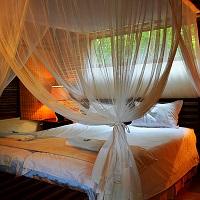 Bush Chalet @ Royal Thonga Safari Lodge By Dream Resorts