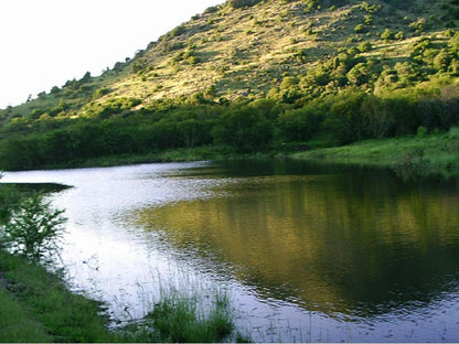 Roydon Nature Reserve Queenstown Eastern Cape South Africa River, Nature, Waters, Tree, Plant, Wood, Highland