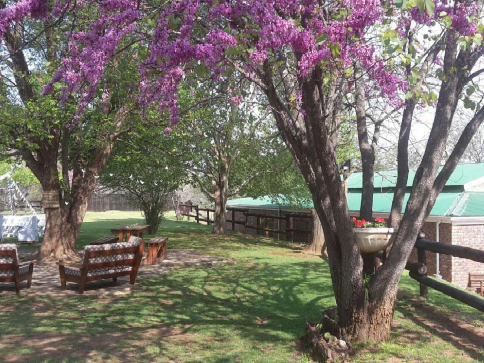 Roydon Nature Reserve Queenstown Eastern Cape South Africa Blossom, Plant, Nature