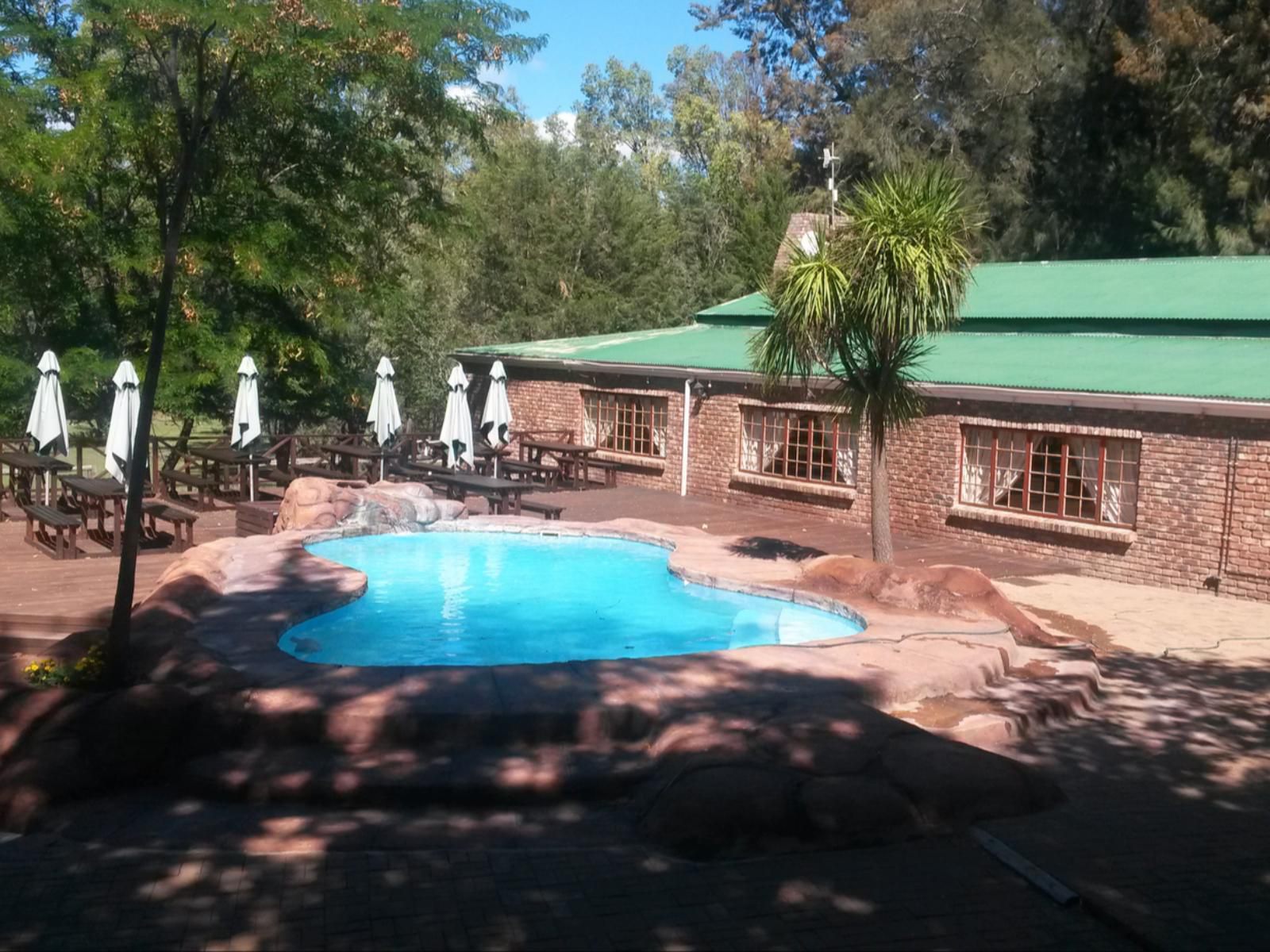 Roydon Nature Reserve Queenstown Eastern Cape South Africa Palm Tree, Plant, Nature, Wood, Swimming Pool