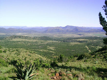 Roydon Nature Reserve Queenstown Eastern Cape South Africa Complementary Colors, Nature