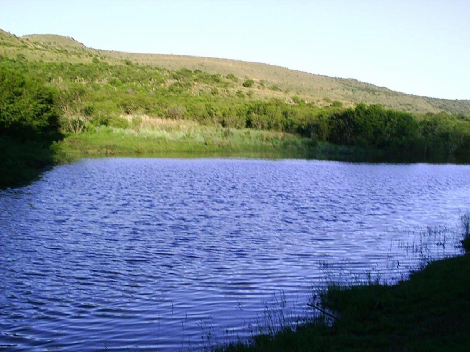 Roydon Nature Reserve Queenstown Eastern Cape South Africa Complementary Colors, Lake, Nature, Waters