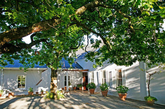 Rozendal Guest Farm Stellenbosch Western Cape South Africa House, Building, Architecture, Garden, Nature, Plant