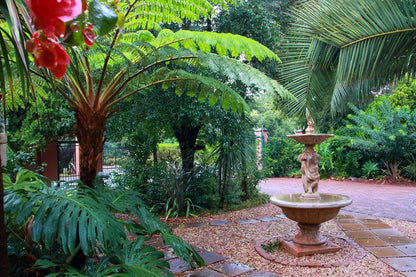 Rozendal Guest House Lyttelton Centurion Gauteng South Africa Palm Tree, Plant, Nature, Wood, Garden
