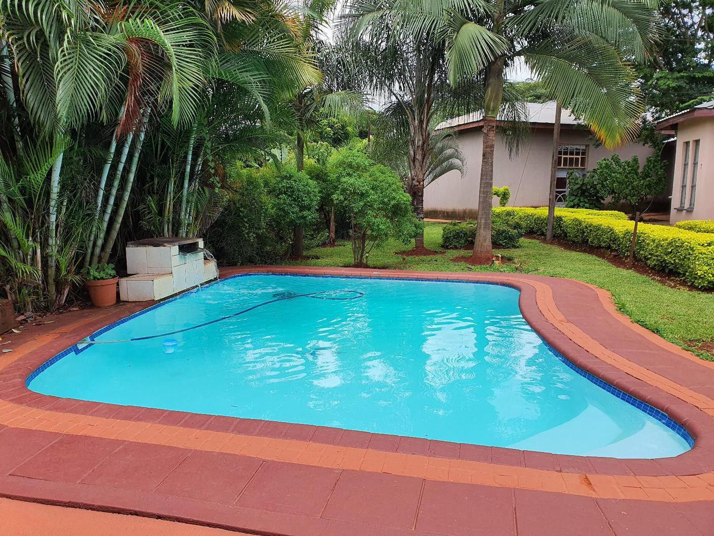 R S Gardens Thohoyandou Limpopo Province South Africa Complementary Colors, Palm Tree, Plant, Nature, Wood, Garden, Swimming Pool